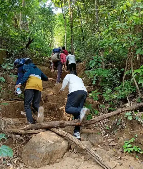Jungle trail — Climbing through Koyna forest, Vasota Fort trek from Bamnoli