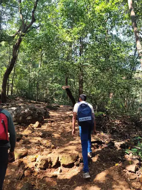 Forest path — Walking the jungle trail, Vasota Fort trek from Bamnoli
