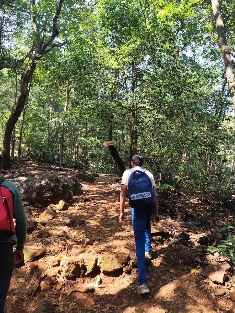 Trekkers walking the jungle trail to Vasota Fort